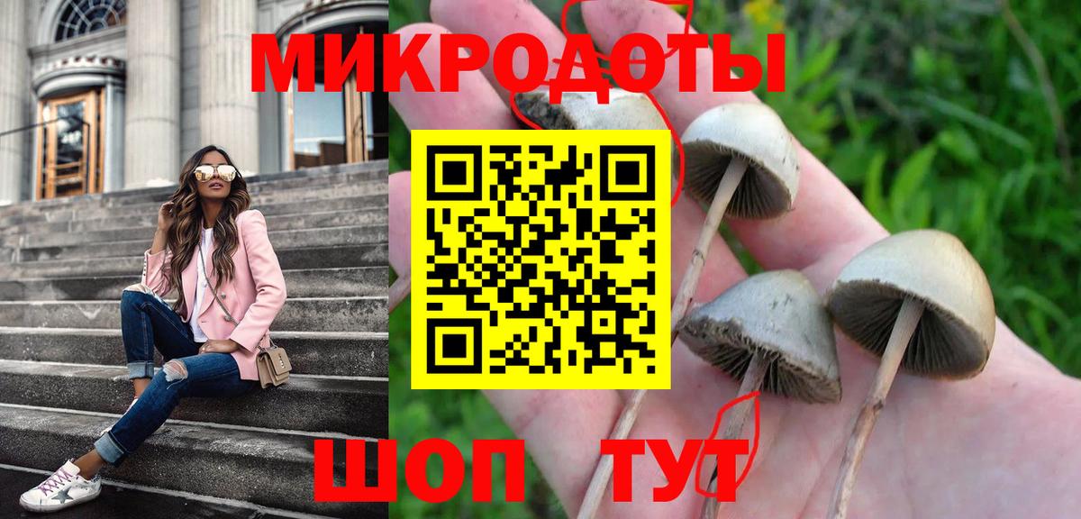 Псилоцибиновые грибы Cubensis  Вход с VPN  Добрянка 